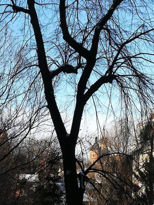 Chillout Apartment Sarego Krakau Exterior foto